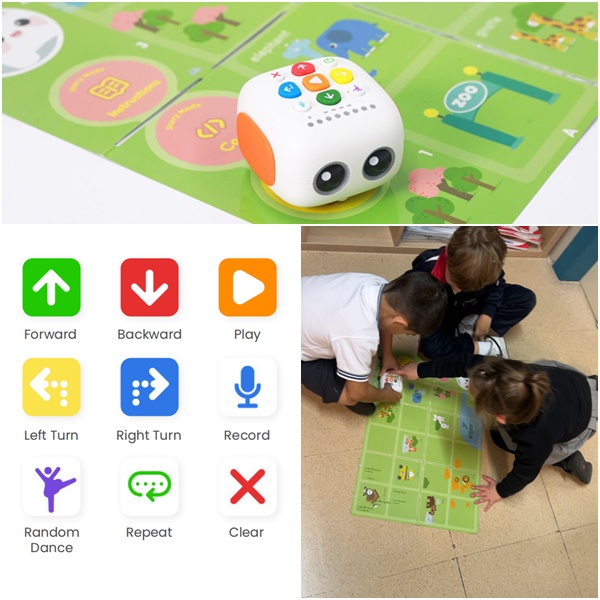 collage talebot agustinas